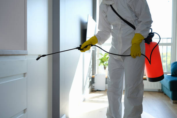 Best Affordable Mold Removal  in Lewisburg, WV