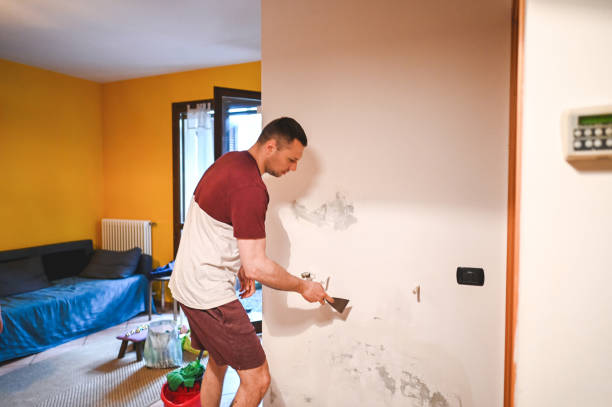 Office Mold Removal Services in Lewisburg, WV